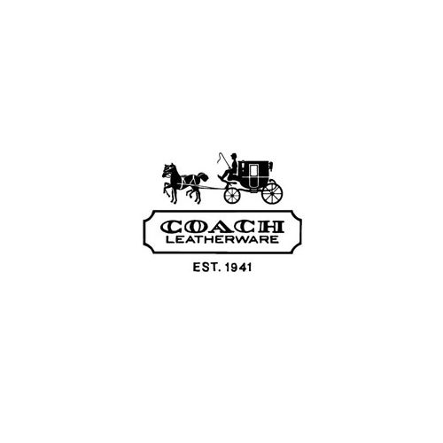 Coach wholesale handbag stock (MOQ 10pcs.)