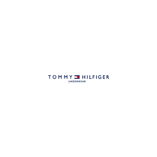 Tommy Hilfiger Wholesale Men's underwear special order 100pcs.